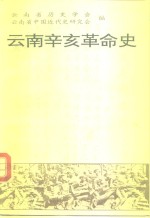 <em>云南</em>辛亥革命史