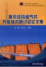复杂结构油气井开发<em>技术</em>研讨会论文集