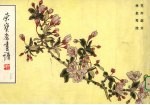 荣宝斋画谱  100  花卉部分