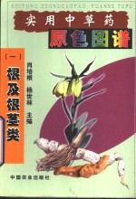 实用中草药原色图谱  1  根及根茎类