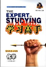 学习<em>高手</em>  化学  九年级  上  人教<em>版</em>