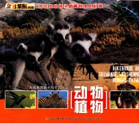 不可不学的十万个为什么  动物植物