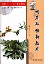 饲草种植新技术