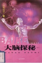 大脑探秘  上