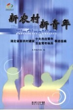 新农村  新青年：湖北省新农村建设十大杰出青年  百业青年标兵事迹选编