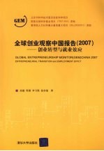 全球创业观察中国报告  2007  创业转型与就业效应