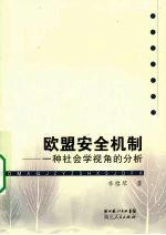 欧盟安全机制  一种社会学视角的分析