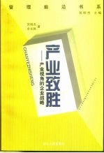 产业致胜  产业视角的企业战略
