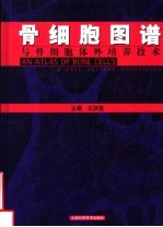 骨细胞图谱与骨细胞体外培养<em>技术</em>