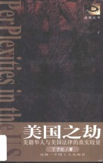 美国之劫  美籍华人与美国法律的真实较量