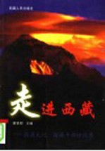 走进西藏  援藏札记  援藏干部访谈录