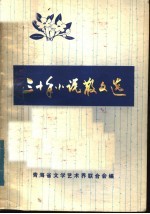 <em>三<em>十年</em></em>小说散文选