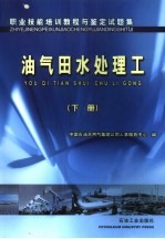 油气田水处理工  下