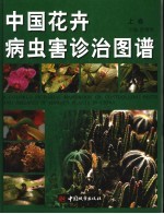 中国花卉病虫害诊治图谱  上