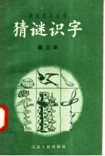 猜谜识字  第三本
