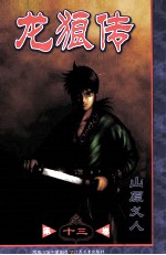 龙狼传  第13卷