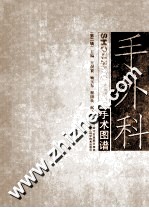 手外科手术图谱  第2辑