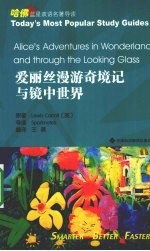 爱丽丝漫游奇境记与镜<em>中</em><em>世界</em>