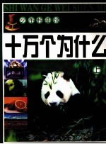 十万个为什么  上