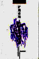 扩展<em>市场</em>：经济繁荣的泉源