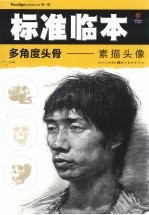 多<em>角度</em>头骨  素描头像