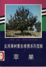 实用果树整形修剪系列图解  苹果