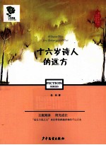 <em>十<em>六岁</em></em>诗人的远方