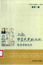 上海  带<em>蓝色</em>光<em>的</em>土地