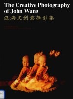 汪炳文创意<em>摄</em>影集  中英文本