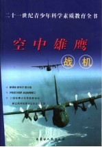 空中雄鹰  战机