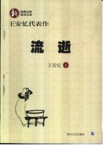 流逝  <em>王安</em>忆代表作