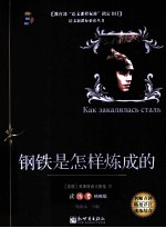 钢铁是怎样炼成的  读练考精编版