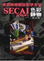 美术高考基础教学大全  色彩静物  创作篇