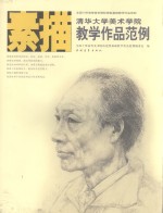 清华大学美术学院素描教学<em>作品</em>范例