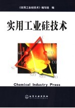 实用工业硅<em>技术</em>