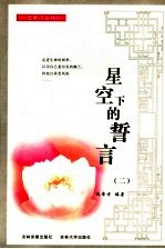 星空下的誓言  2
