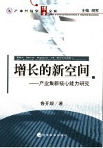增长的新空间  产业集群核心能力研究