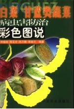 <em>白菜</em>  甘蓝类蔬菜病虫害防治彩色图说
