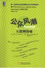 公众风潮  互联网海啸