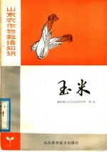 山东农作物栽培知识  玉米