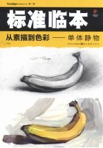 <em>从</em>素描到色彩  单体静物