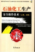 石油化工生产<em>安全</em>操作技术  乙烯、丙烯
