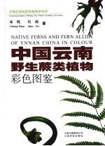 中国云南野生蕨类<em>植物</em>彩色图鉴 Native ferns and fern allies of Ynnan China in colour eng