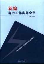 新编电力工作实务全书  第2卷