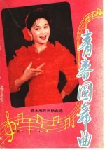 青春圆舞曲  党永庵<em>作词</em>歌曲选
