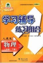 <em>学习</em>辅导练习组合  物理  八年级  下  人教版