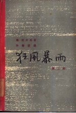 狂风暴雨  第2部