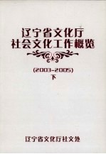 辽宁省文化厅社会文化工作概览  2003-2005  下