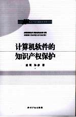 计算机软件的<em><em>知识</em><em>产权</em></em><em>保护</em>
