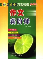 作文新阶梯  初中版